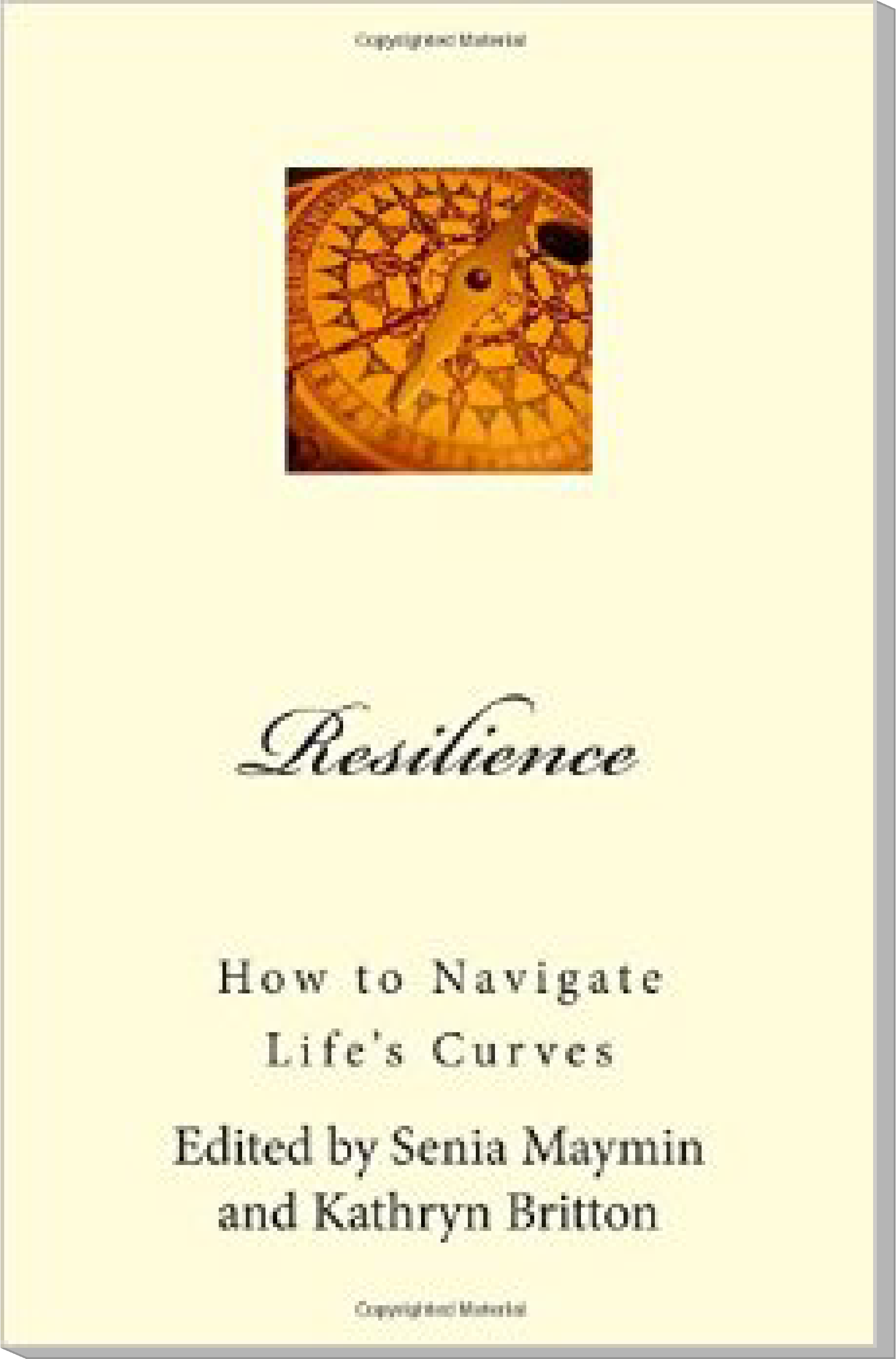 Resilience book cover